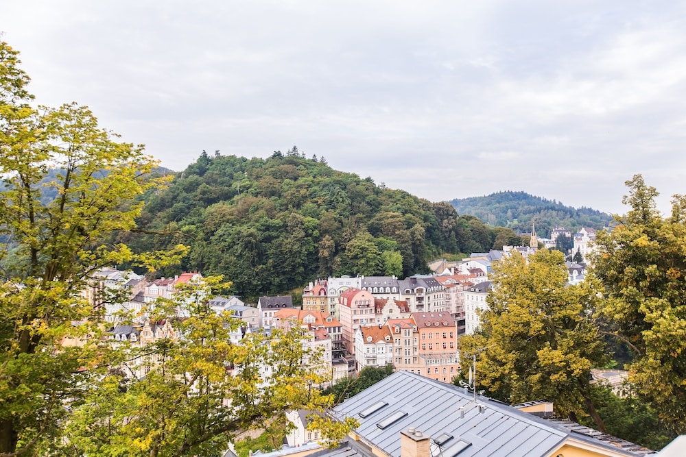 マウンテン ビュー