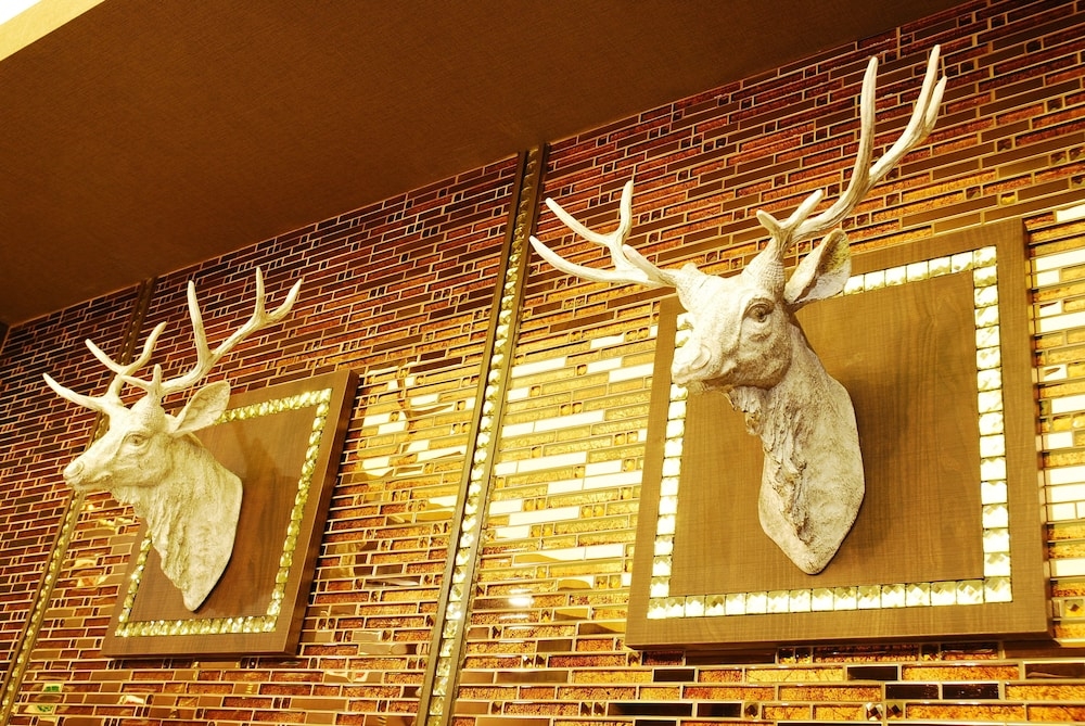 客室の設備とサービス