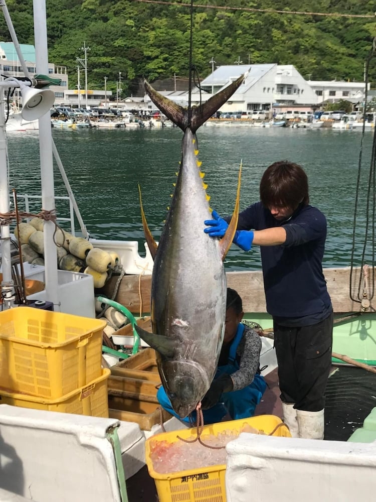 フィットネス設備