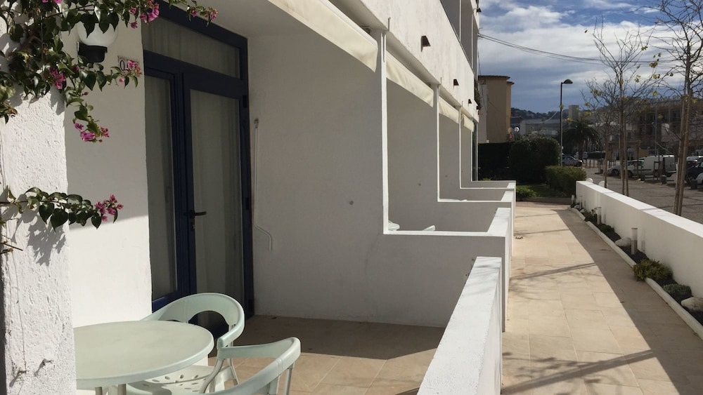 テラス / パティオ