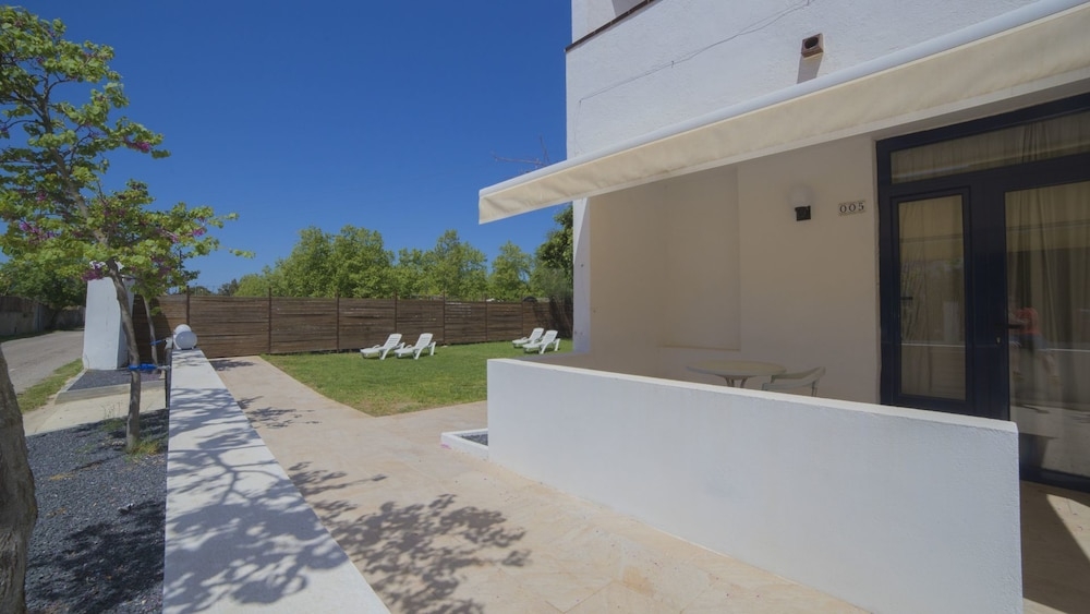 テラス / パティオ