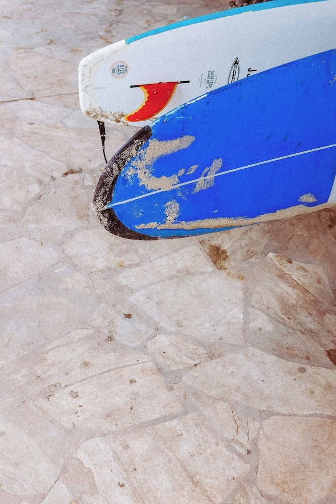 サーフィン / ボディボード