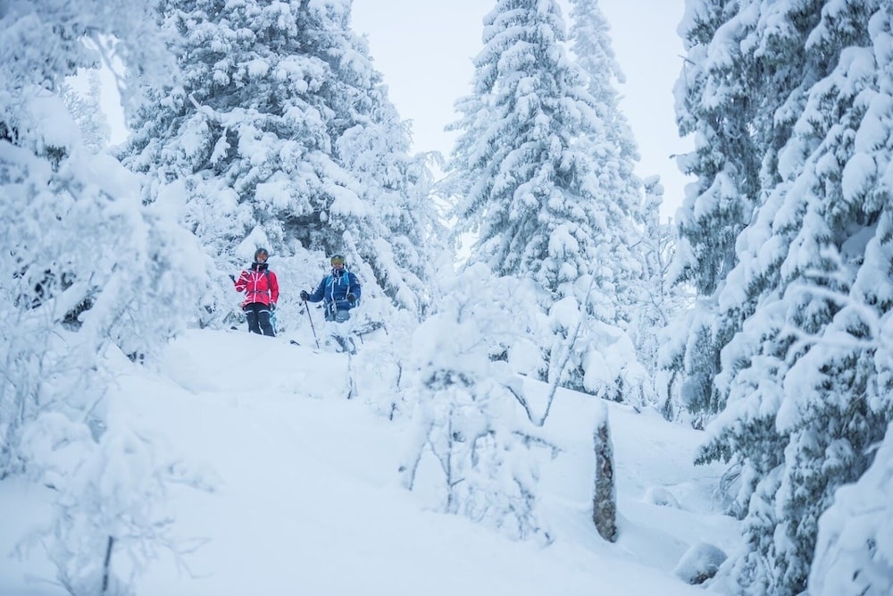 スノー スポーツとスキー