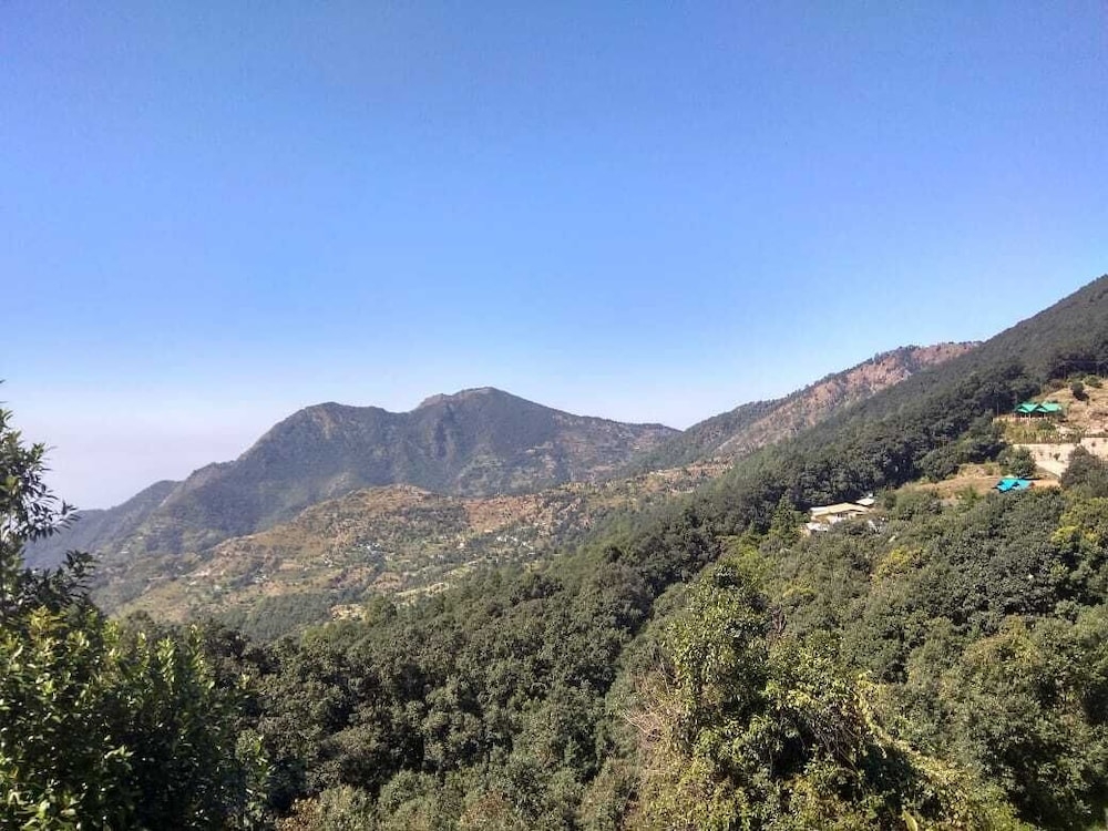 マウンテン ビュー