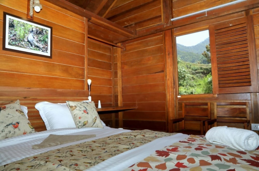 ガーデン ビュー