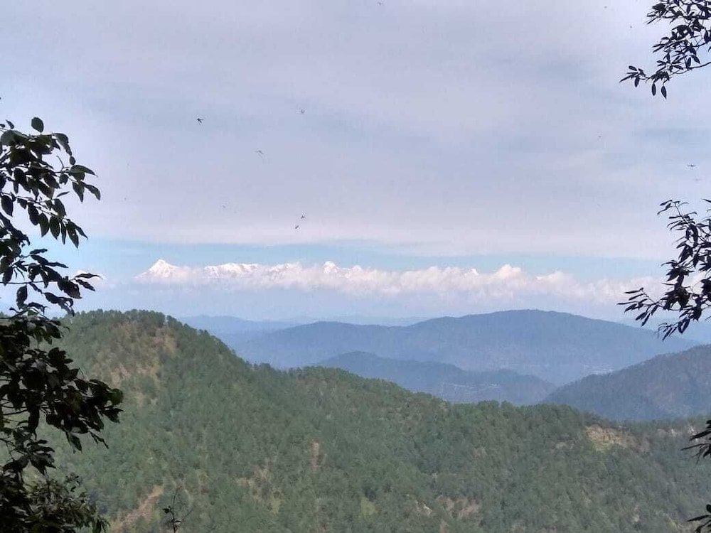 マウンテン ビュー