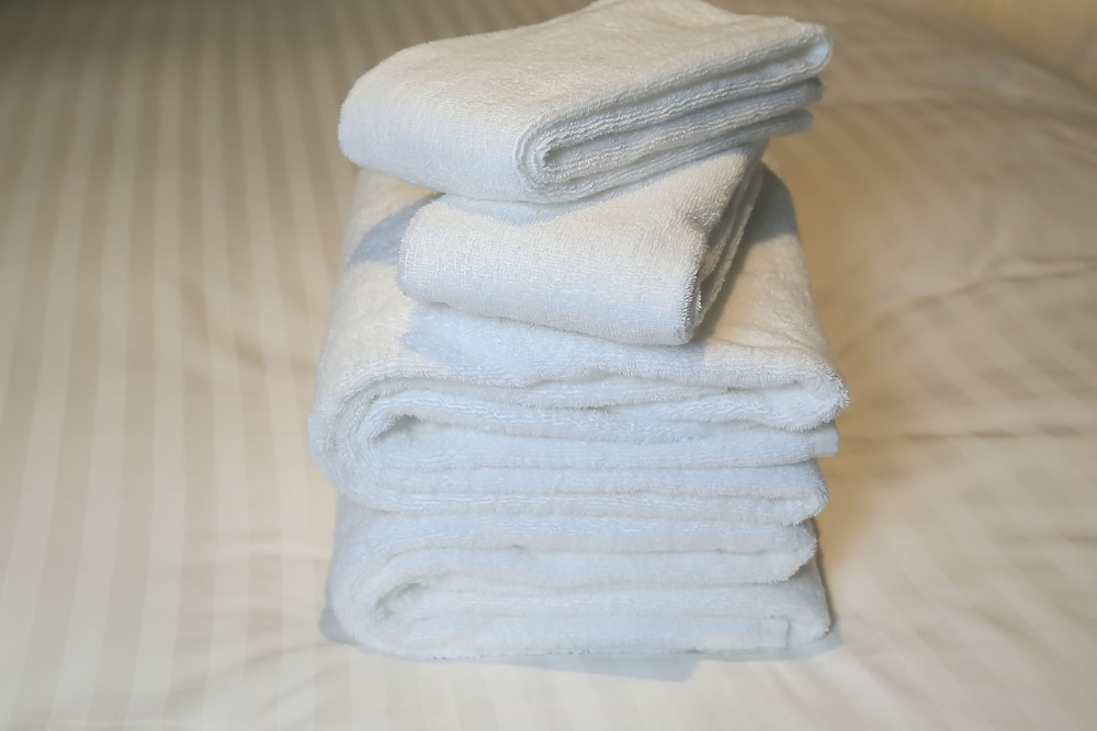 客室の設備とサービス