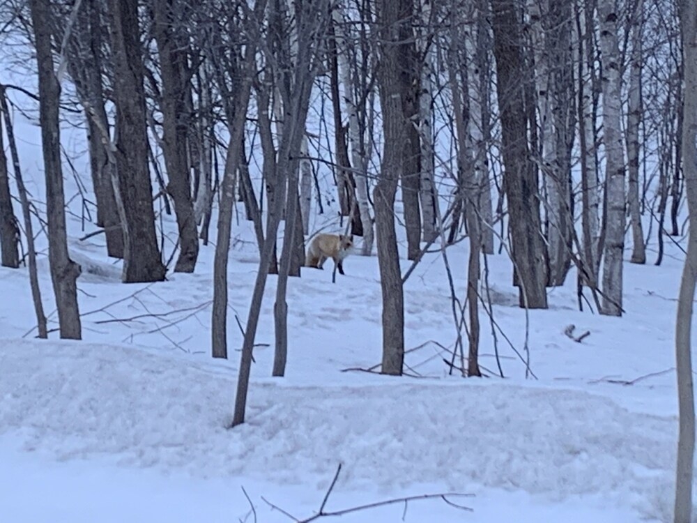 施設からの眺望
