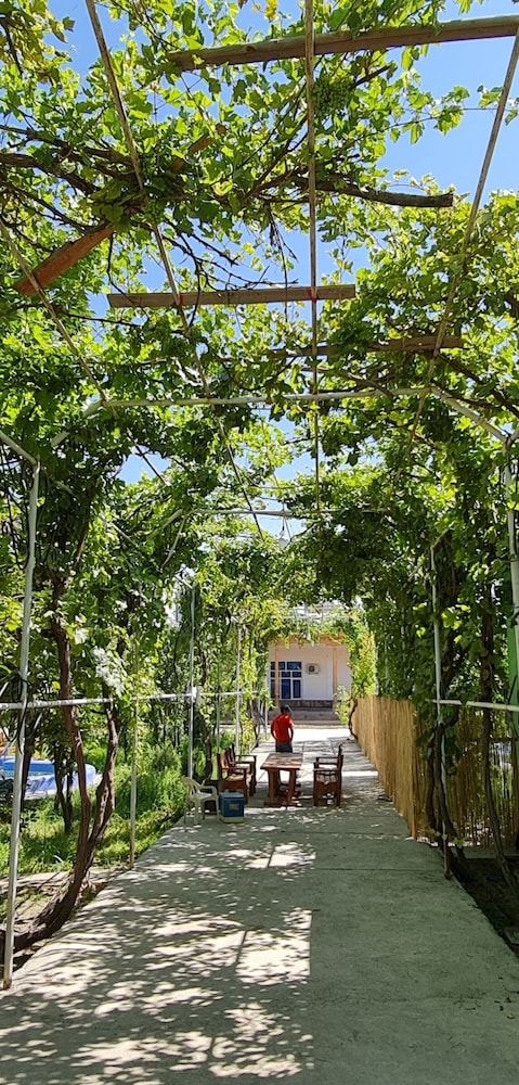 テラス / パティオ