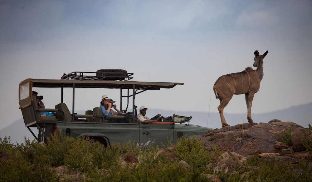 ゲーム ドライブ
