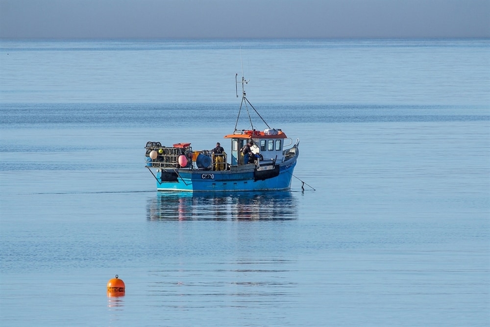 ビーチ / オーシャン ビュー
