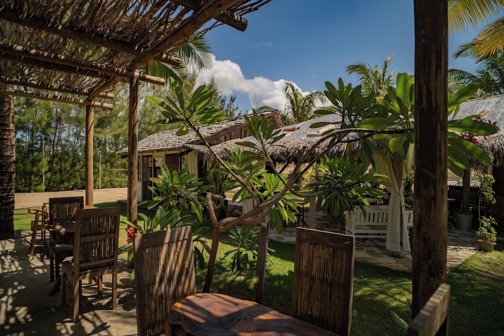 バーベキュー / ピクニック エリア