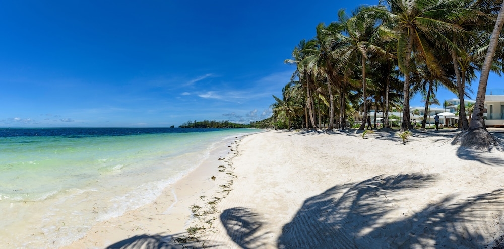 施設からの眺望