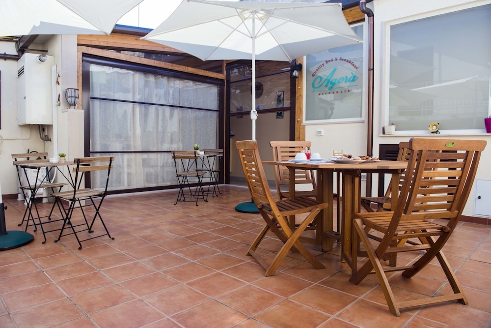 テラス / パティオ