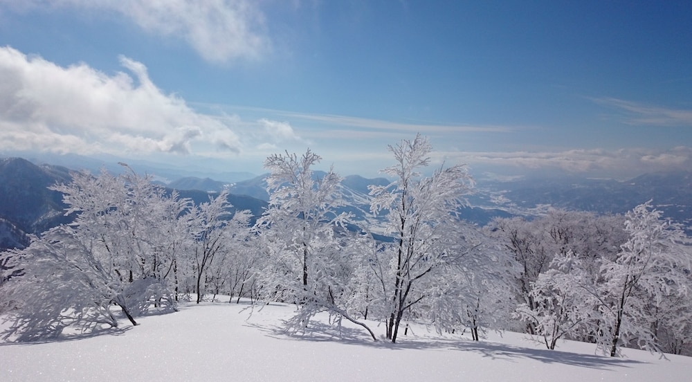 スノー スポーツとスキー