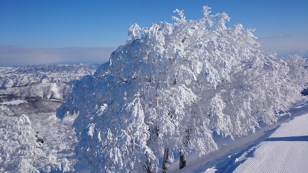 スノー スポーツとスキー