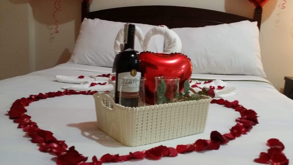 メイン イメージ