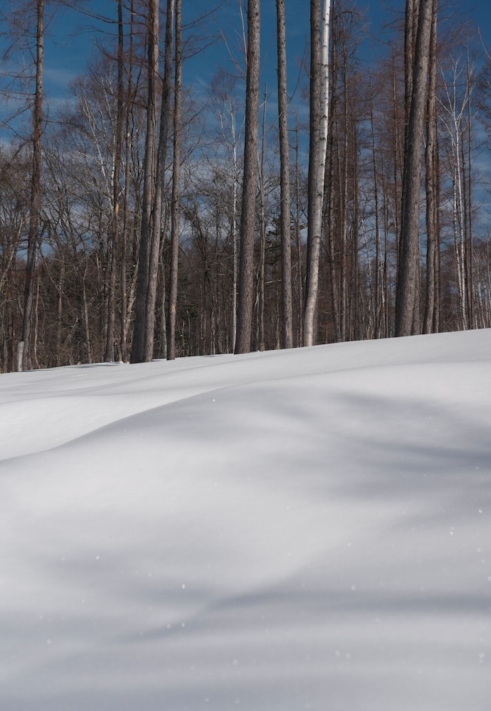 施設からの眺望