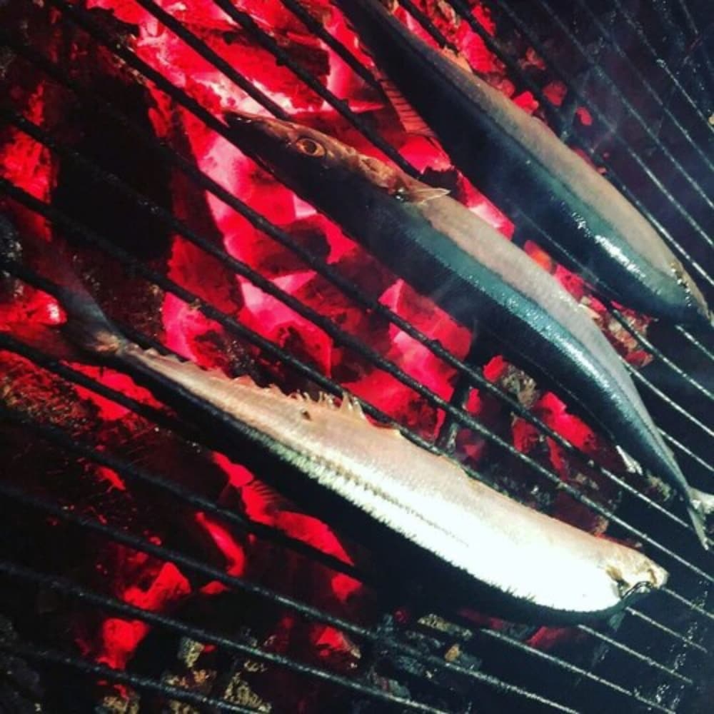 バーベキュー / ピクニック エリア