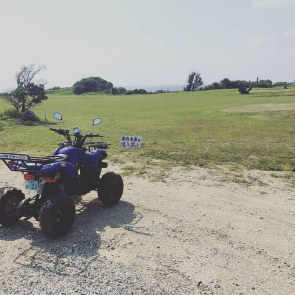 スクーター / モペット