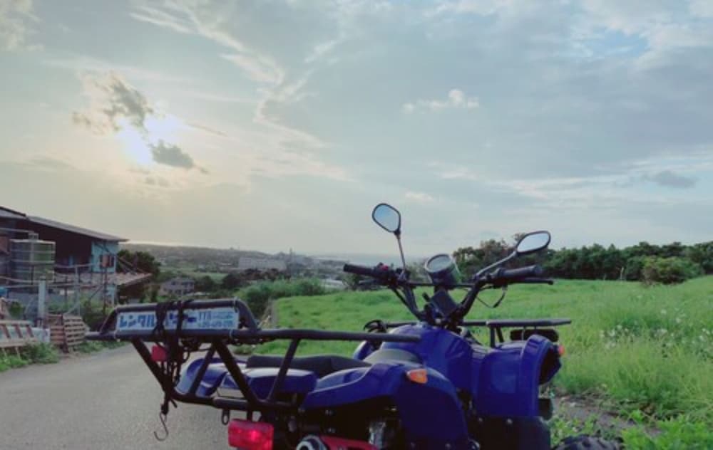 スクーター / モペット