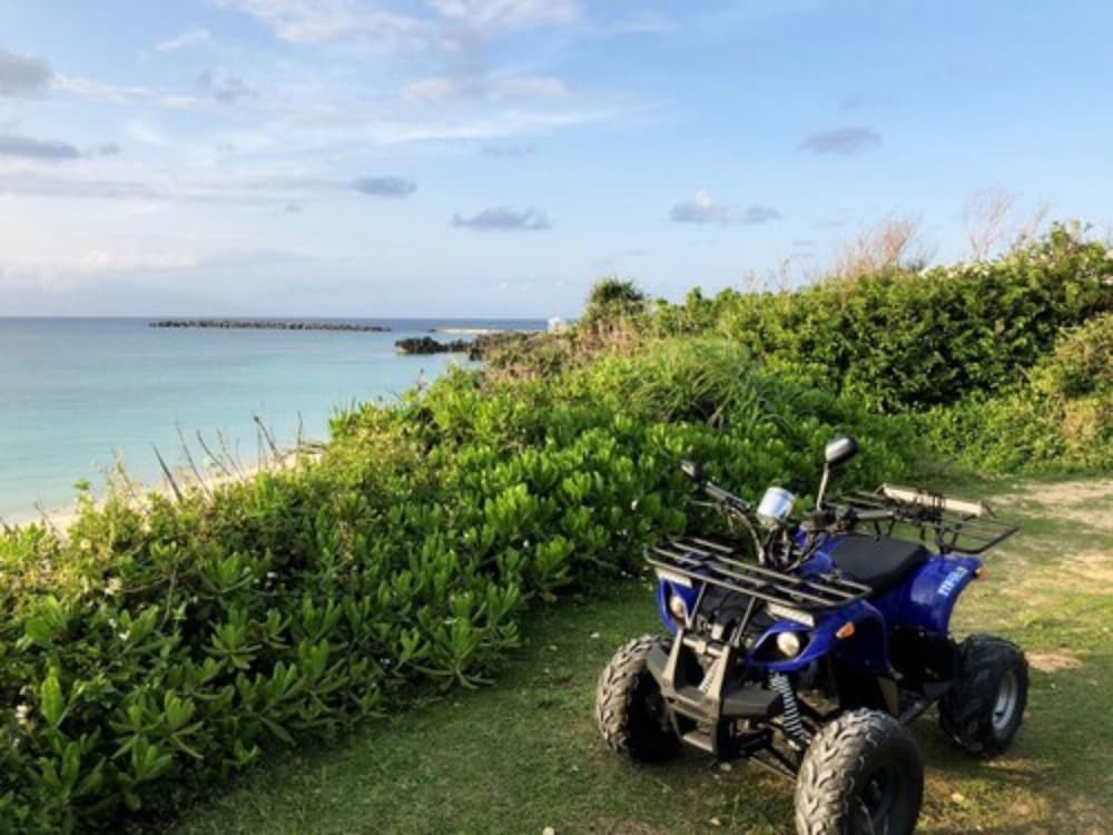 スクーター / モペット