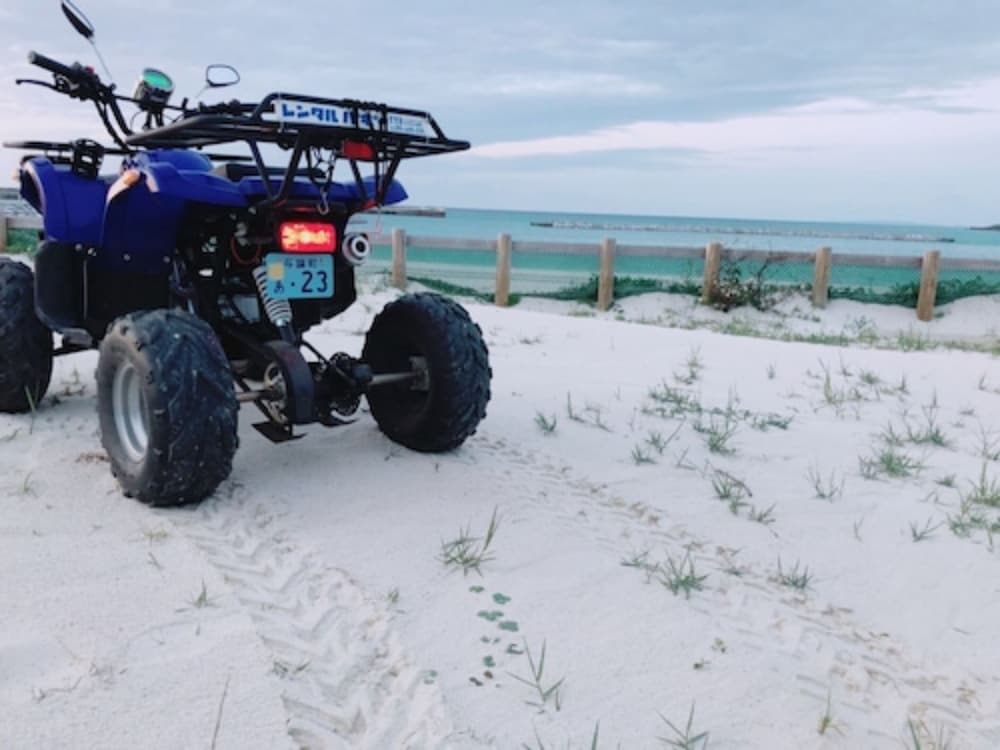 スクーター / モペット