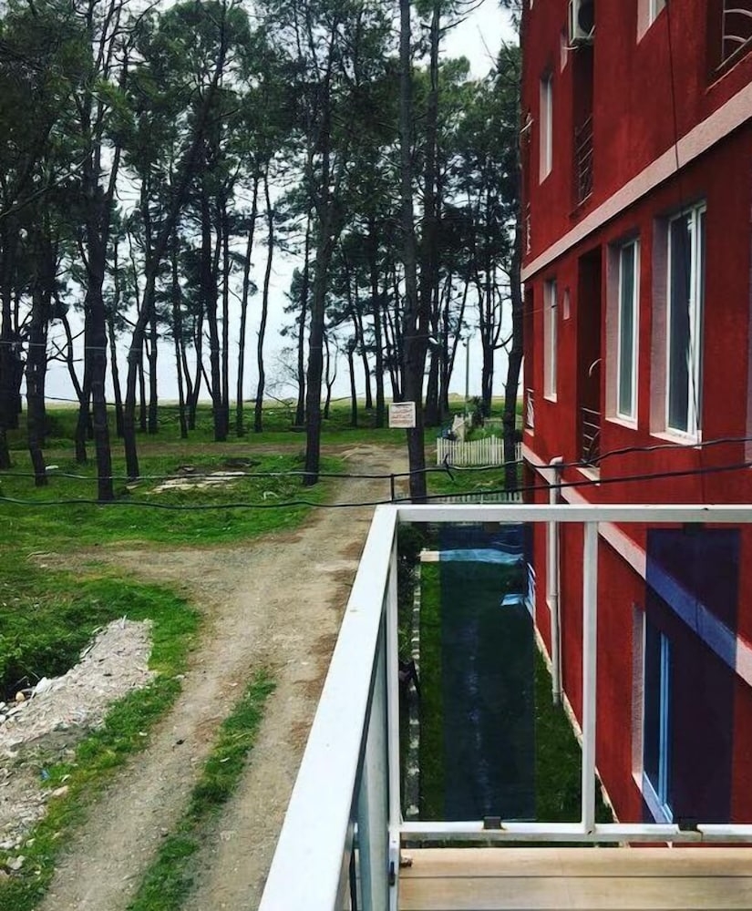 テラス / パティオ