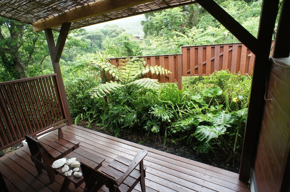 テラス / パティオ