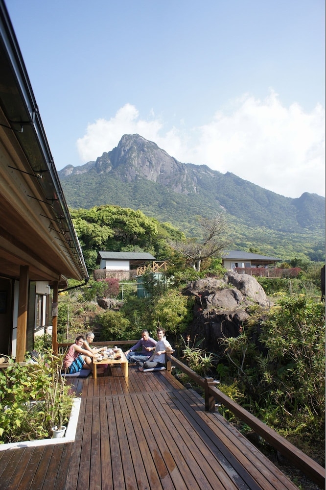 テラス / パティオ