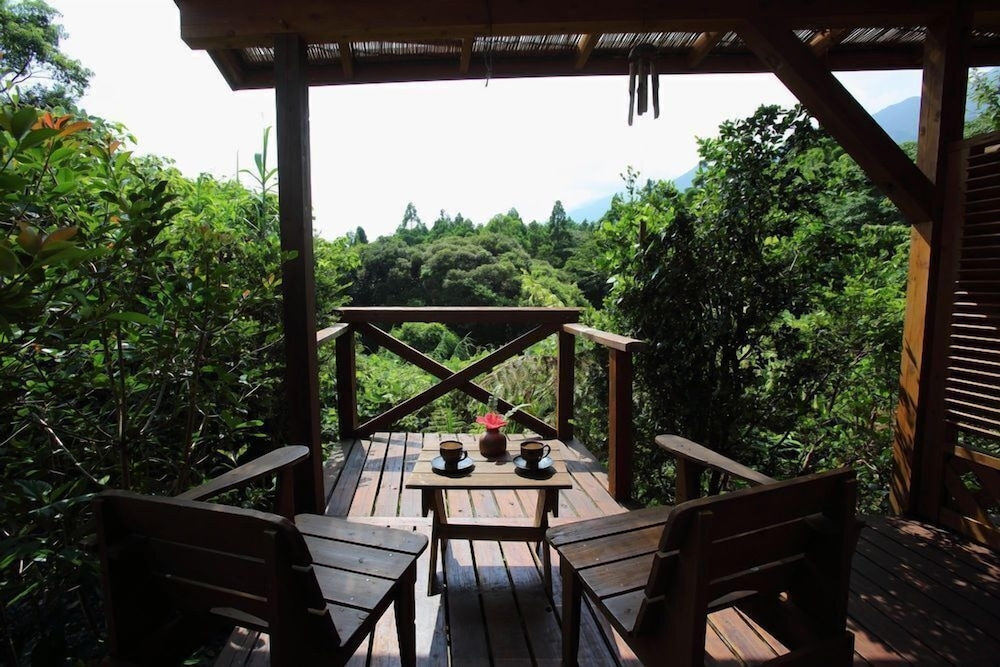 テラス / パティオ