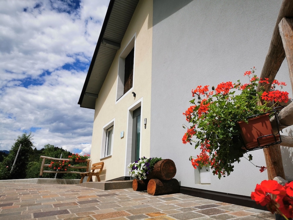 メイン イメージ