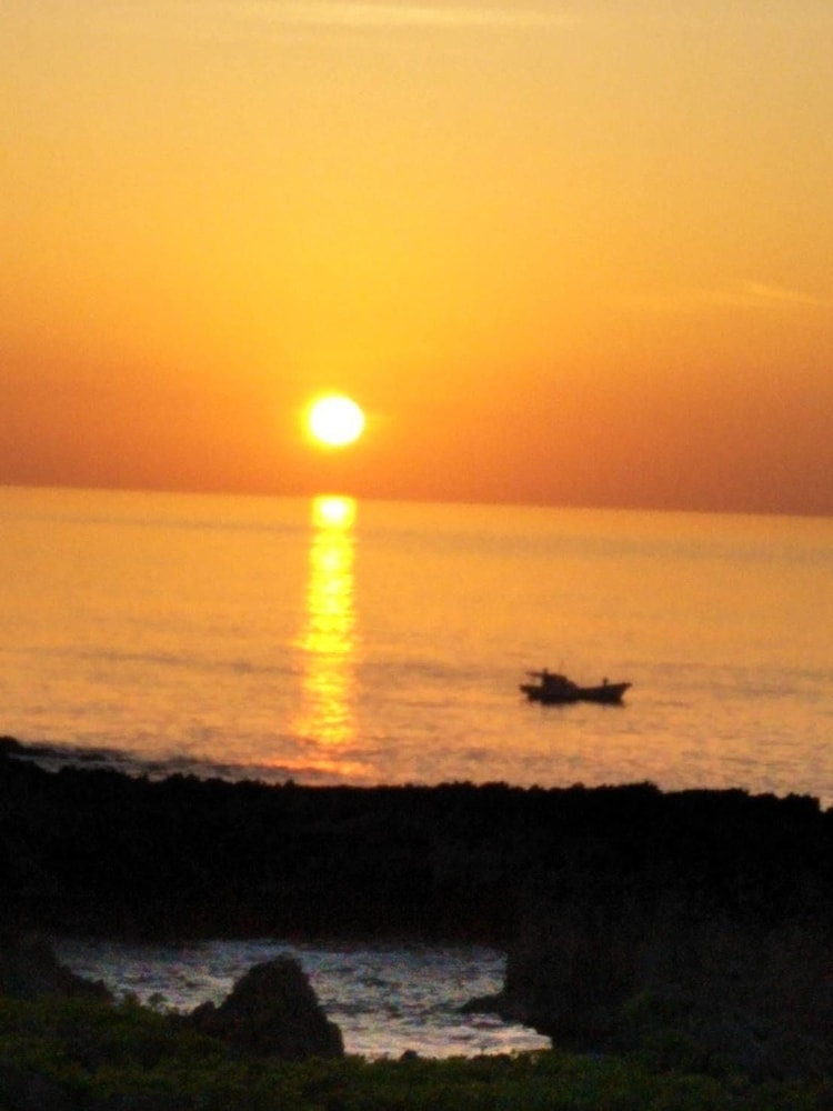 施設からの眺望