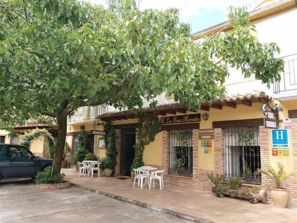 メイン イメージ