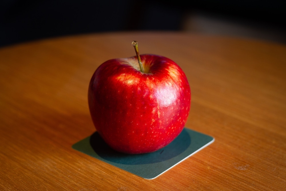 部屋からの景観