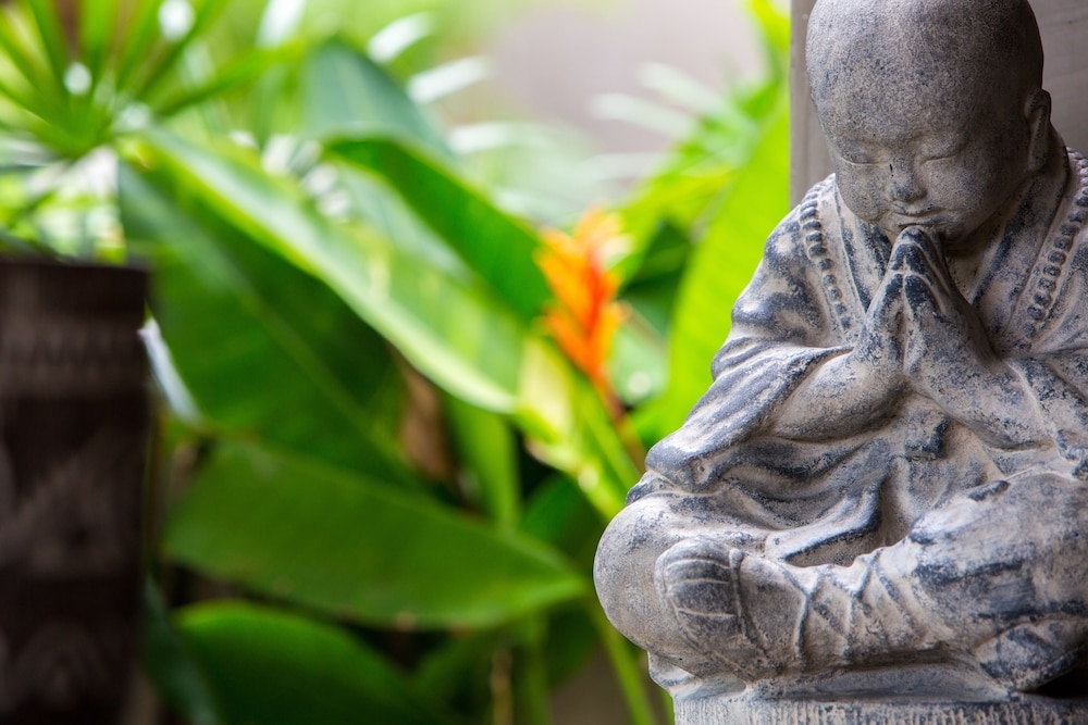 テラス / パティオ