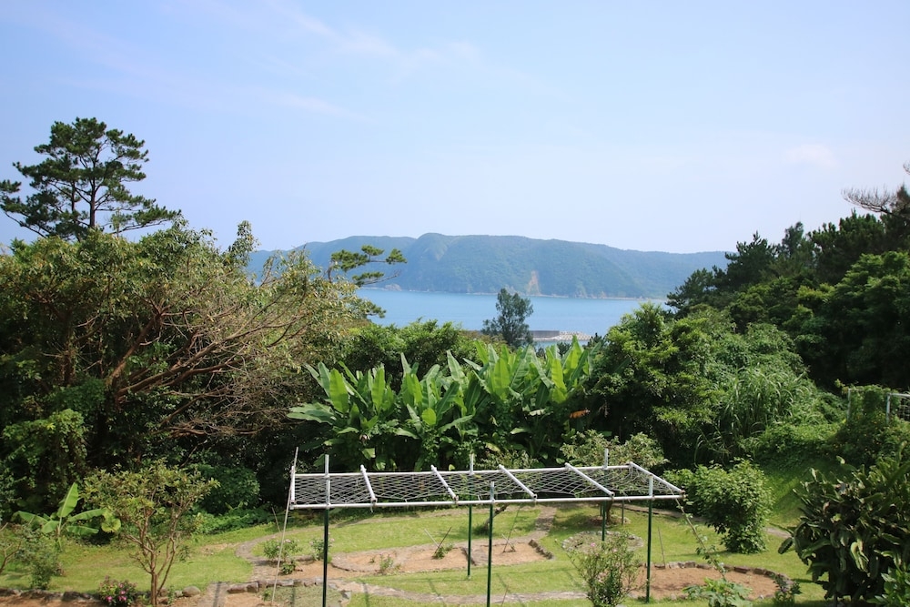 ウォーター ビュー