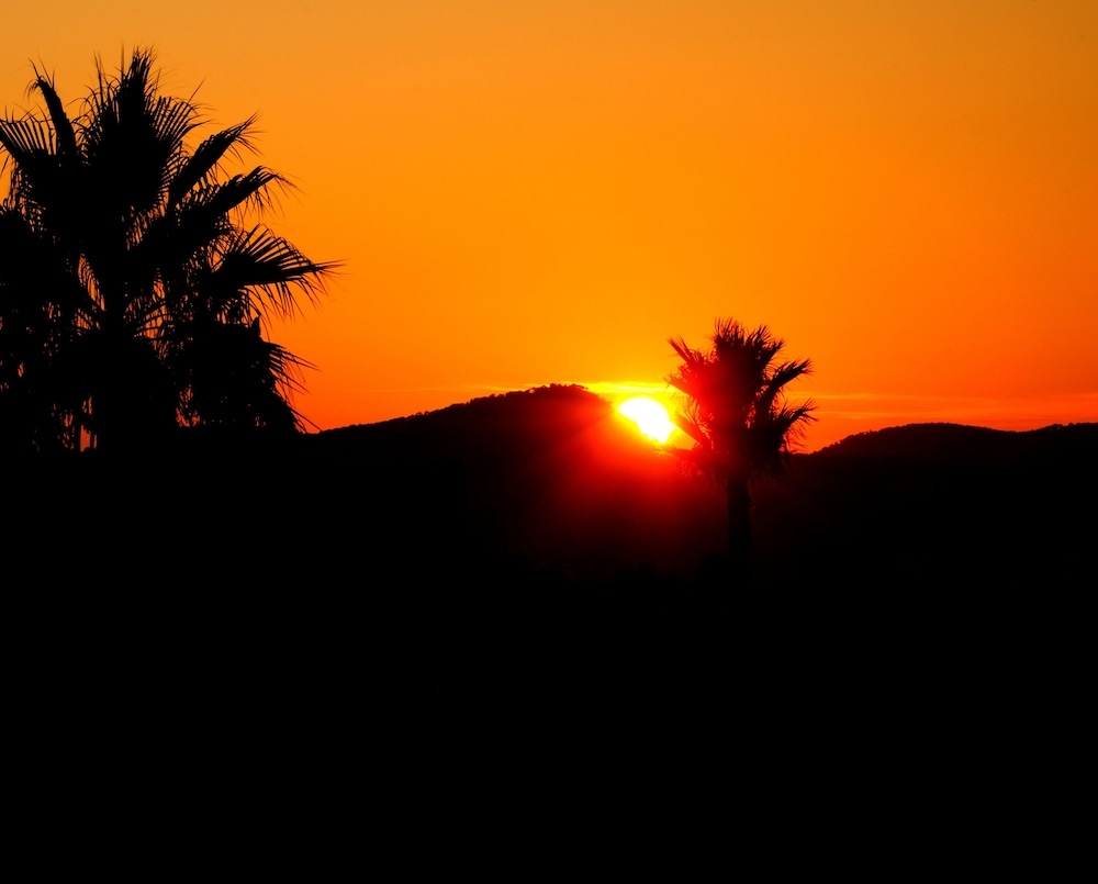 マウンテン ビュー