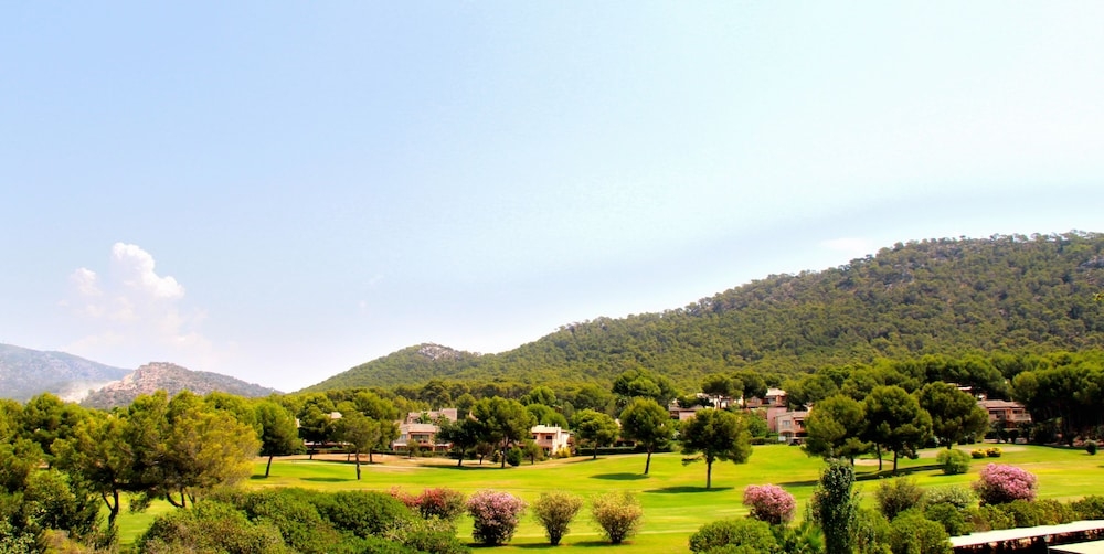 部屋からの景観