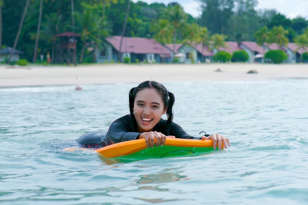 サーフィン / ボディボード