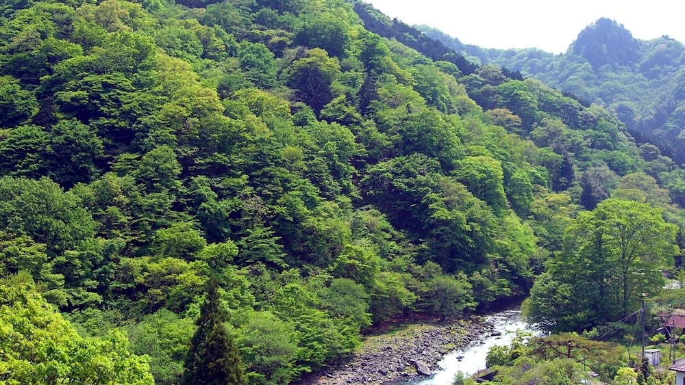 マウンテン ビュー