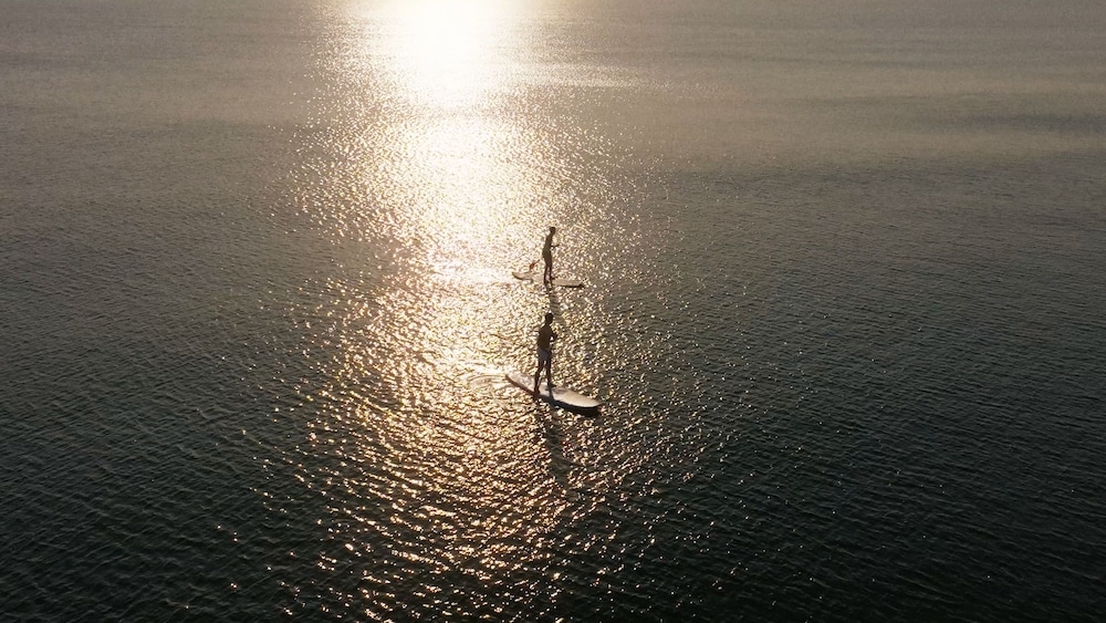 サーフィン / ボディボード