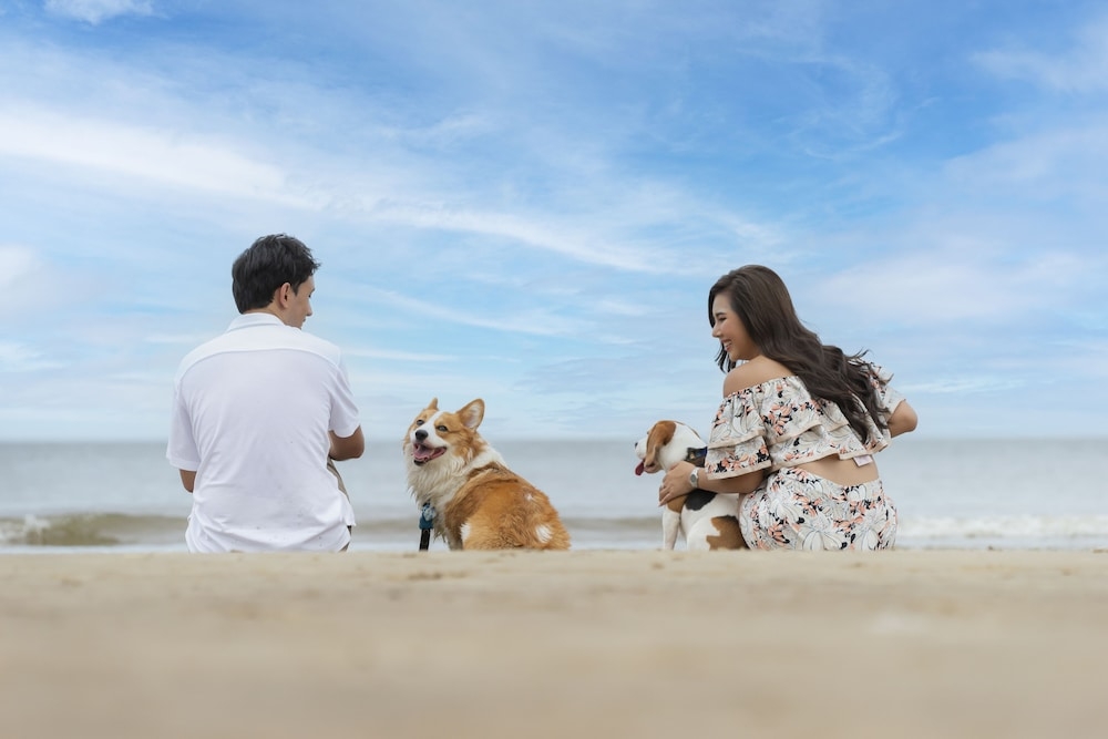 部屋からの景観