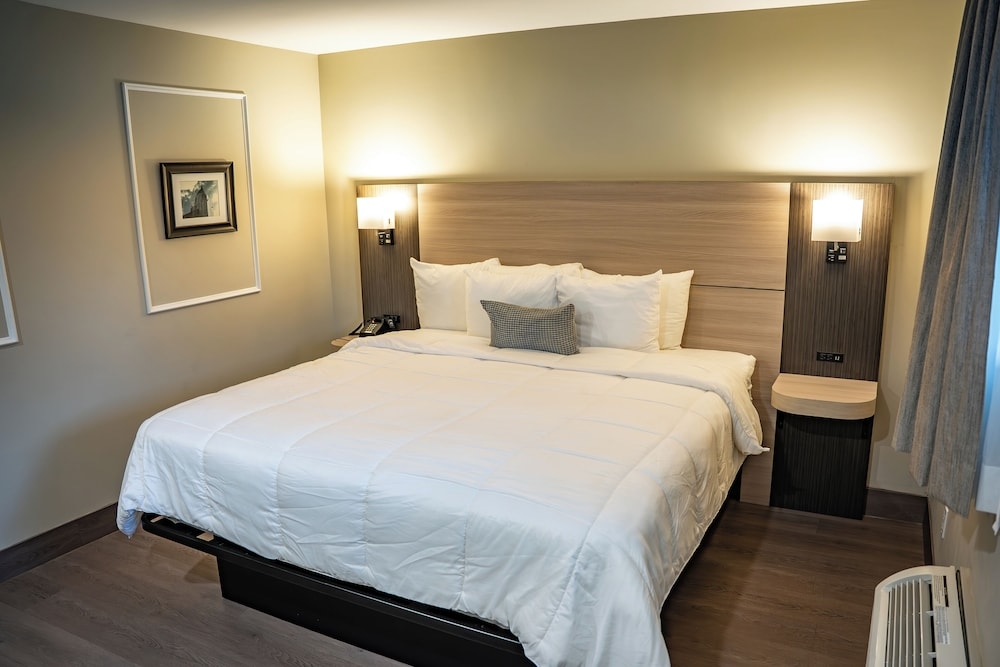 部屋からの景観