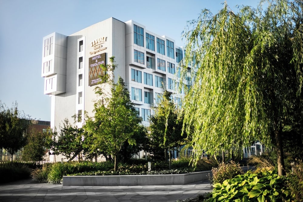 テラス / パティオ