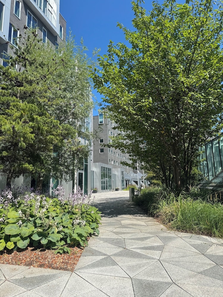 テラス / パティオ