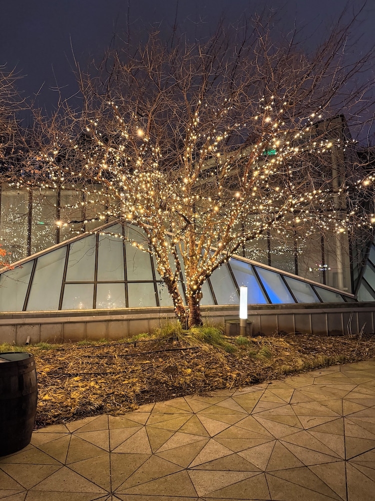 テラス / パティオ