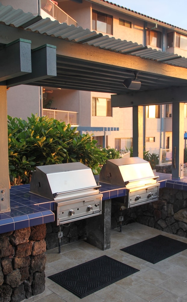 バーベキュー / ピクニック エリア