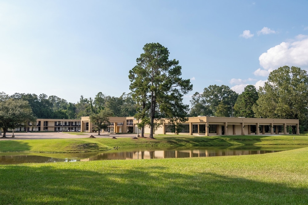 メイン イメージ