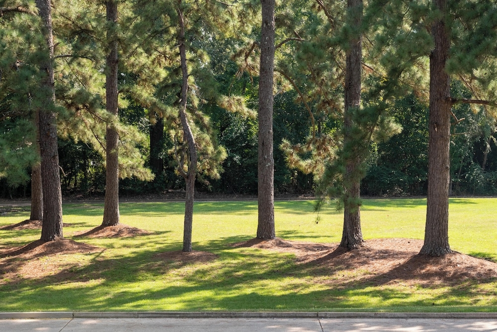 屋外バンケット スペース